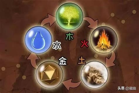 火马命|属马在金木水火土五行里属什么